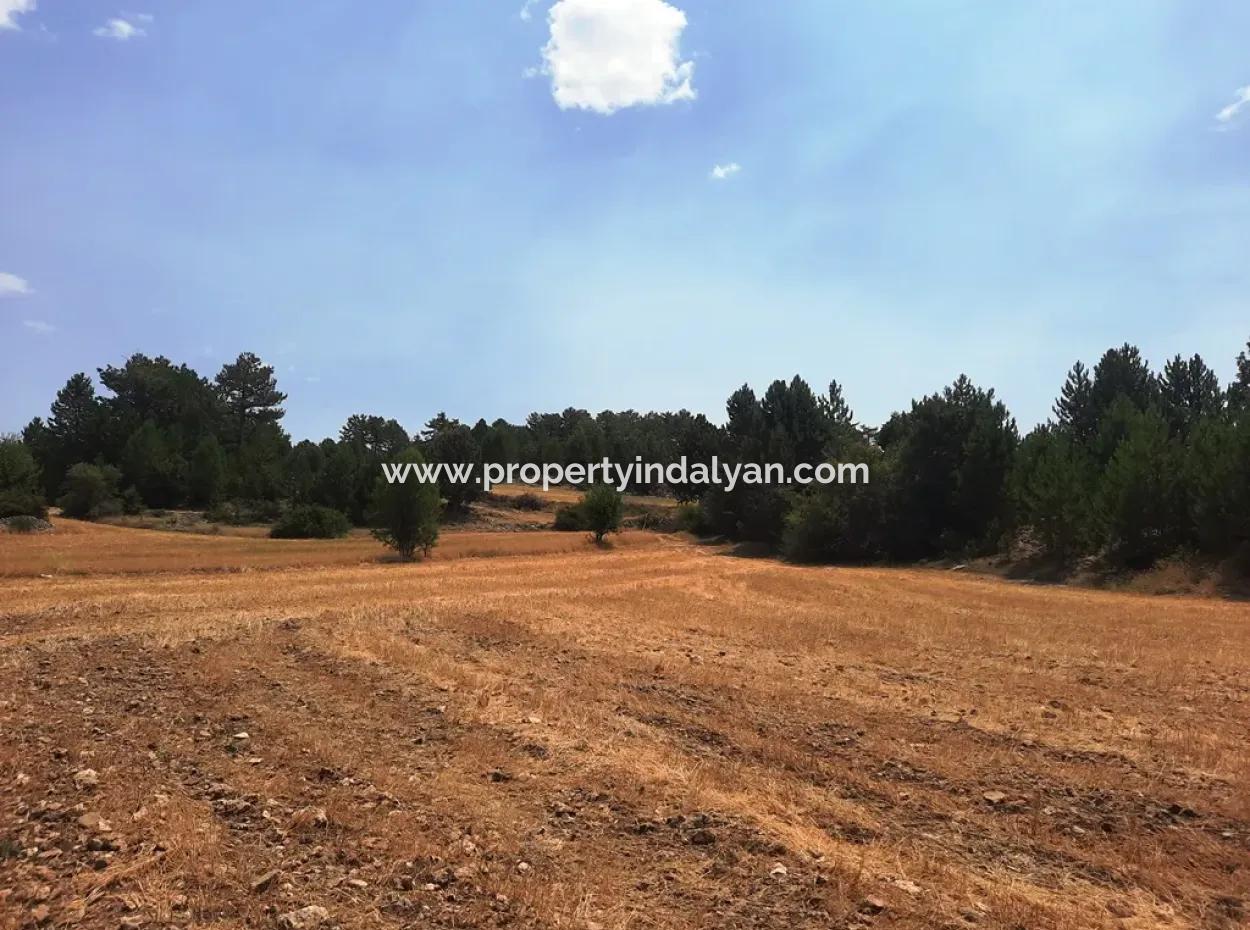 3 Parcels Of Land For Sale In Çameli Gökçeyaka