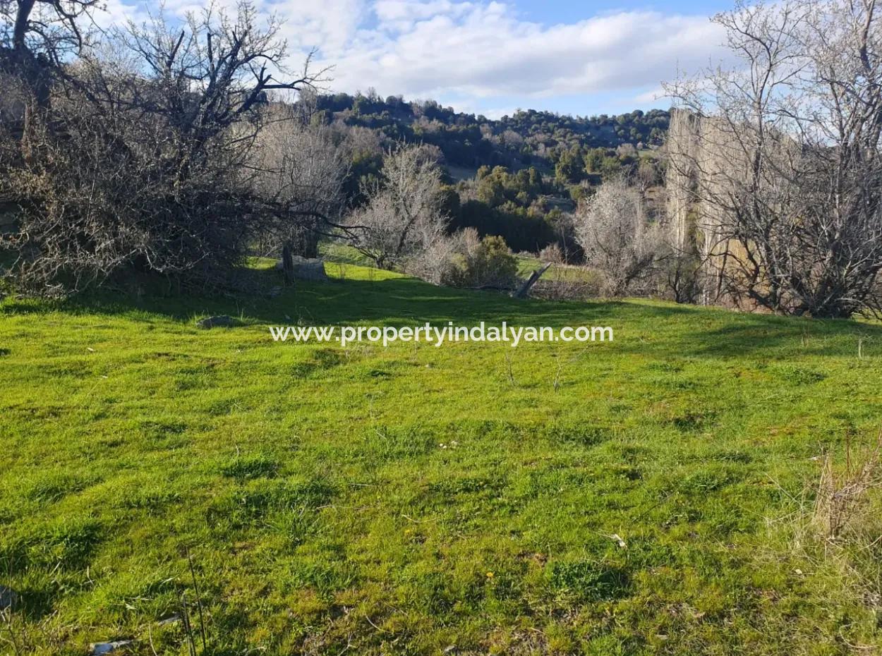 Denizli Çameli Kirazlıyayla Nature View 2 223 M2 Detached Land For Sale