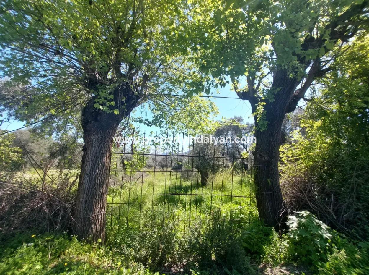 Village House With Lake View And Olive Grove Land For Sale In Köyceğiz Çandır, Muğla