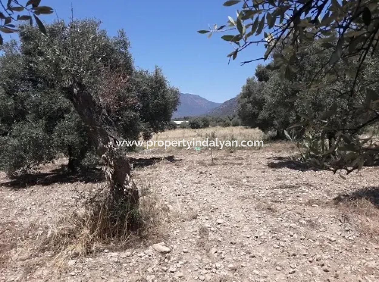 Village House With Lake View And Olive Grove Land For Sale In Köyceğiz Çandır, Muğla