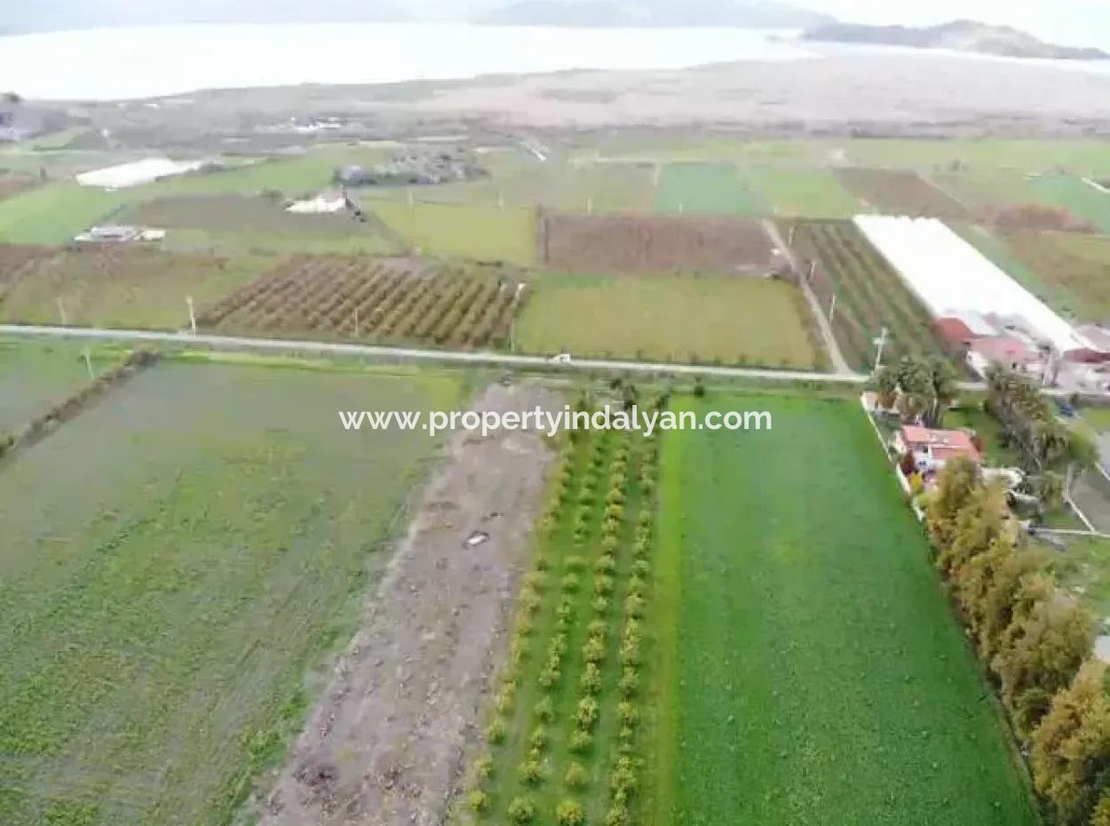 4100M2 Field For Sale Close To Lake In Dalyanda, Muğla
