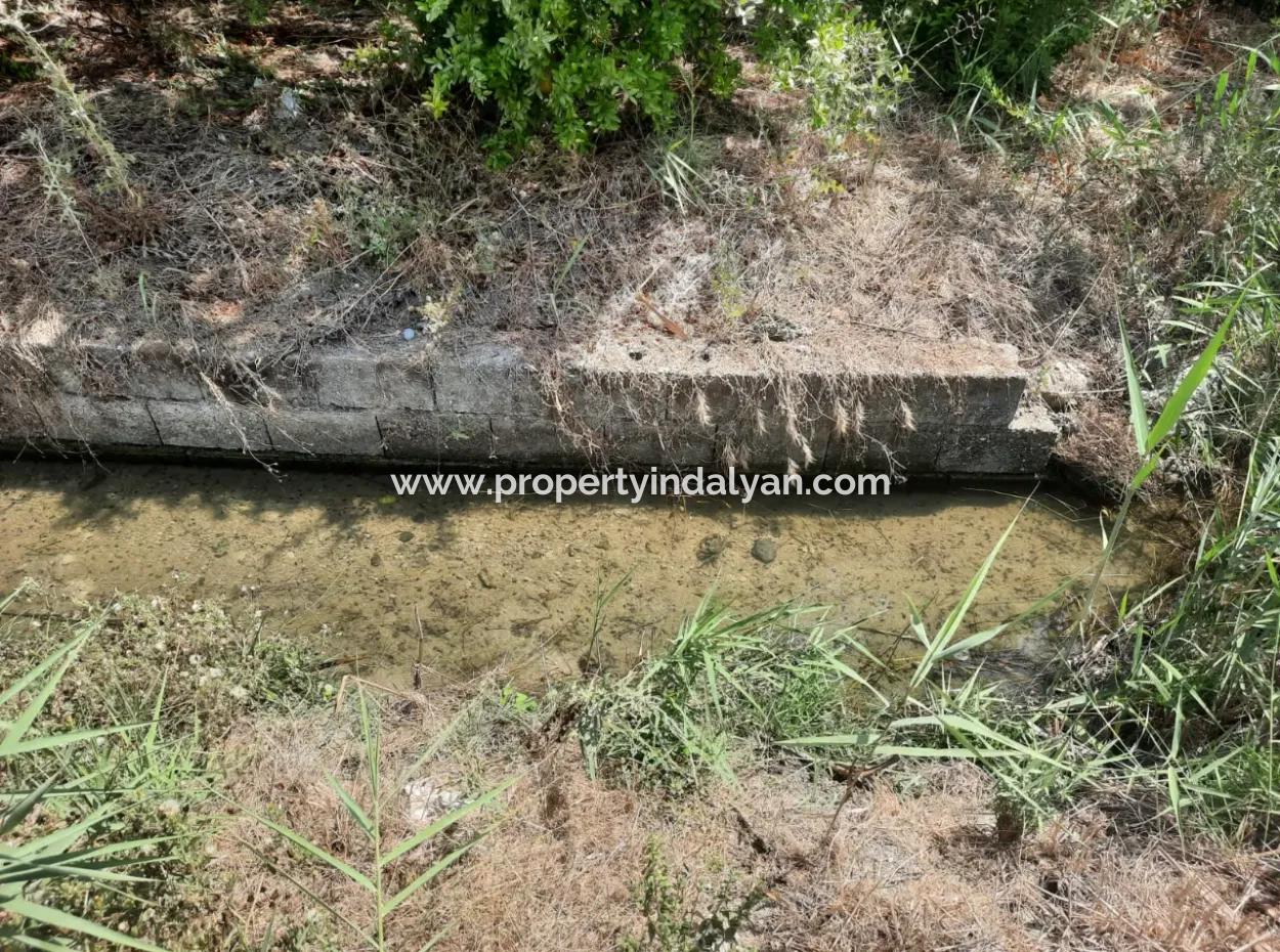 Muğla Dalyanda Mountain Zero, Waterside 10 500 M2 Pomegranate Garden For Sale