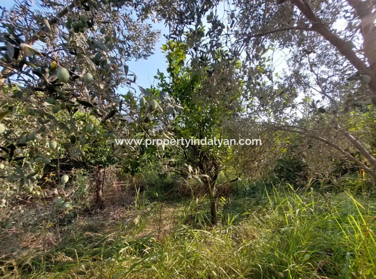 1.000 M2 Land For Sale In Ortaca Archers