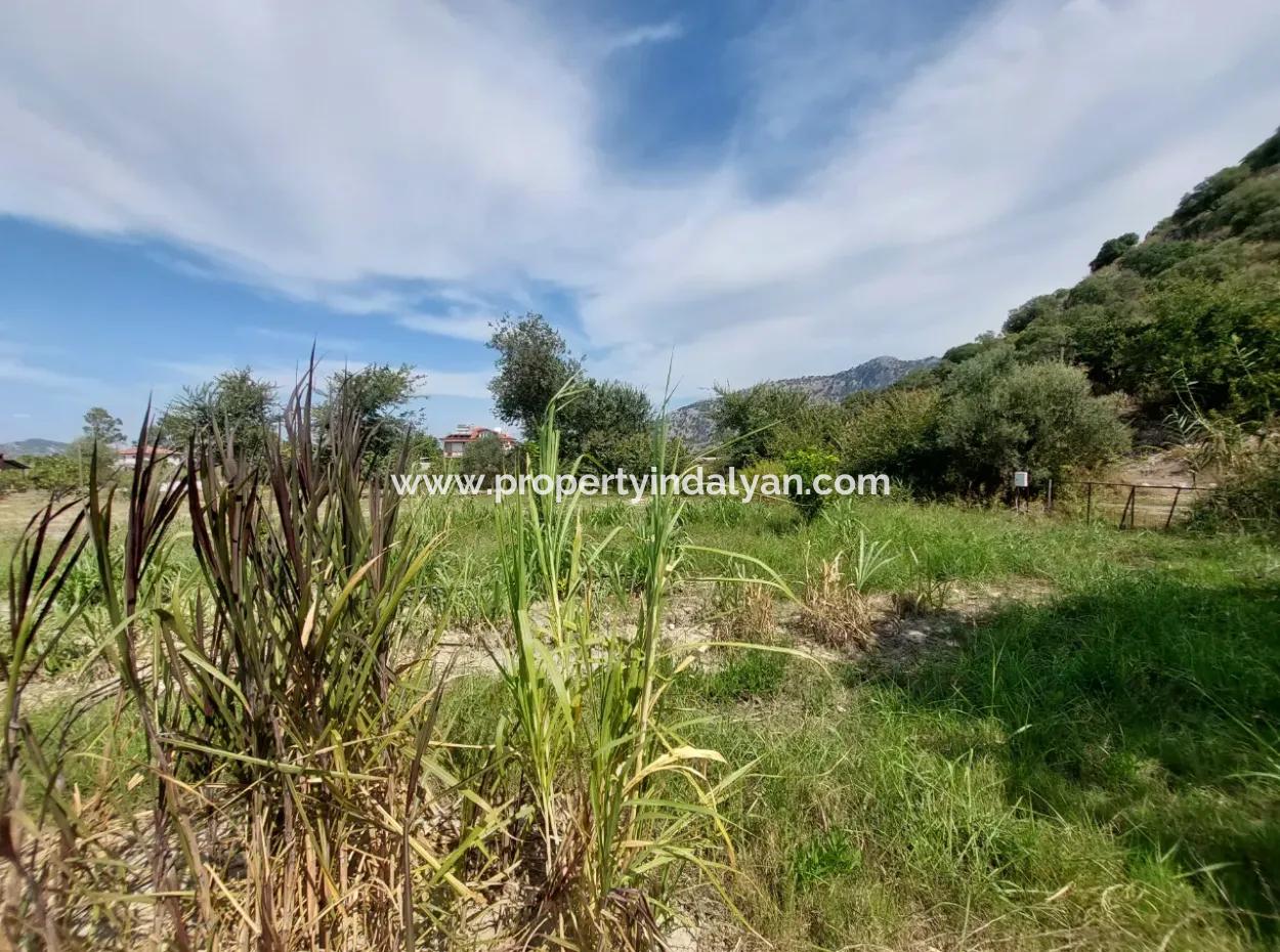 Mountainfront Fertile 1.680 M2 Land For Sale In Dalyan, Muğla