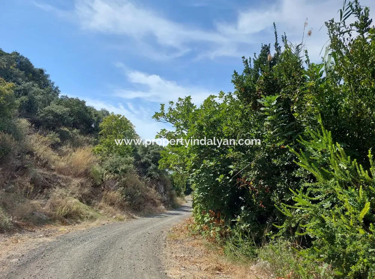 Mountainfront Fertile 1.680 M2 Land For Sale In Dalyan, Muğla