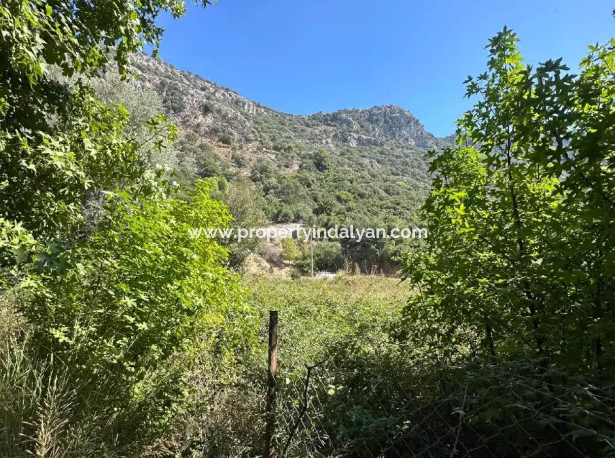 3073 M2 Field For Rent In Dalyan Marmarlı