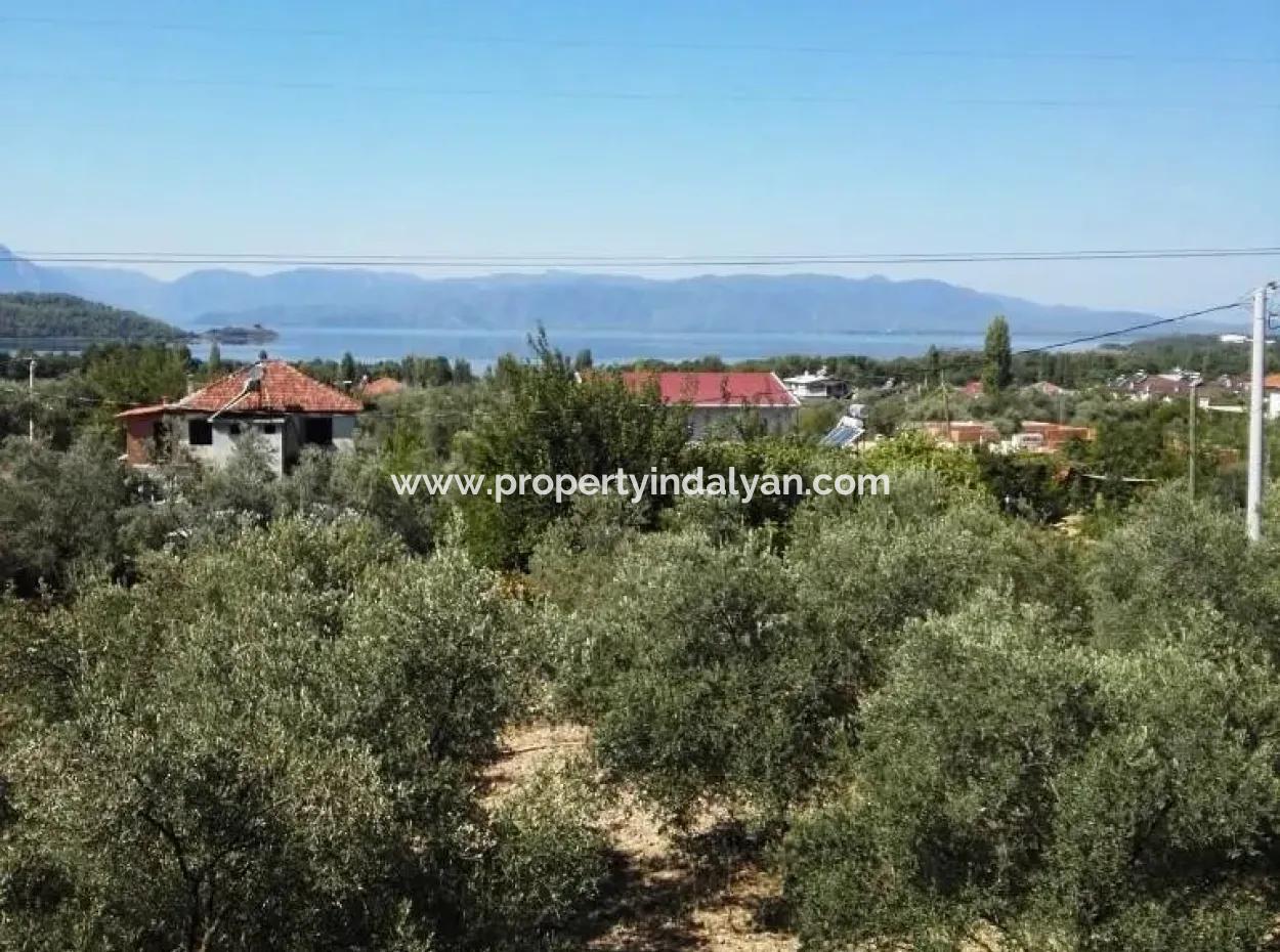 He Completed His Education At Koycegiz Lake View Home For Sale