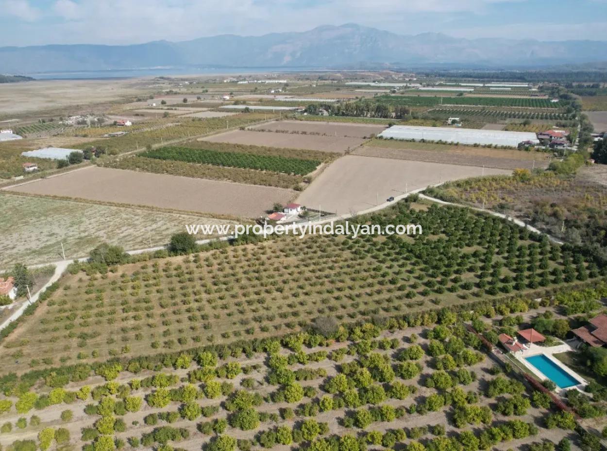17.000 M2 Detached Pomegranate Garden For Sale In Ortaca Eskiköy