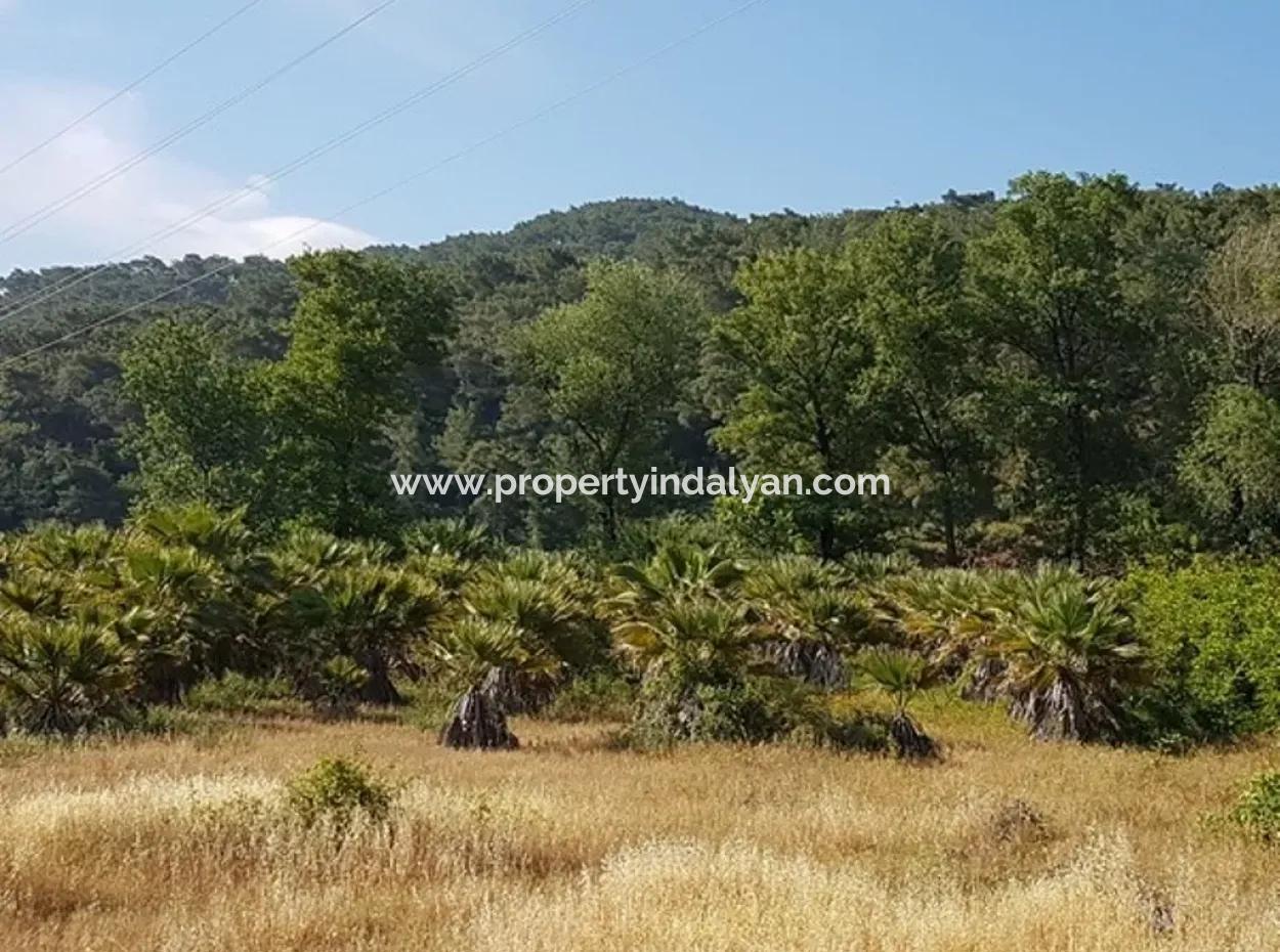 Kemaliye Zero From The Main Road Land For Sale