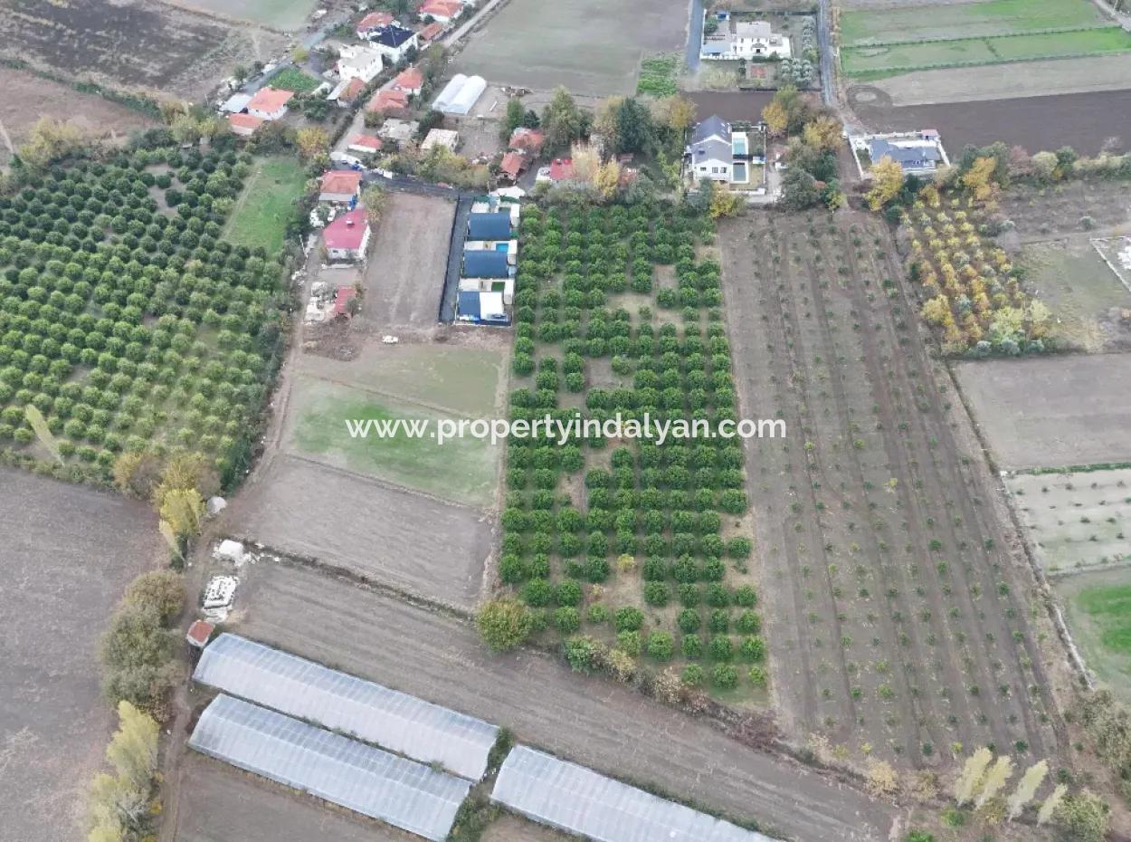 9750 M2 Land For Sale In Ortaca Okçular Zoning Plan Suitable For Investment