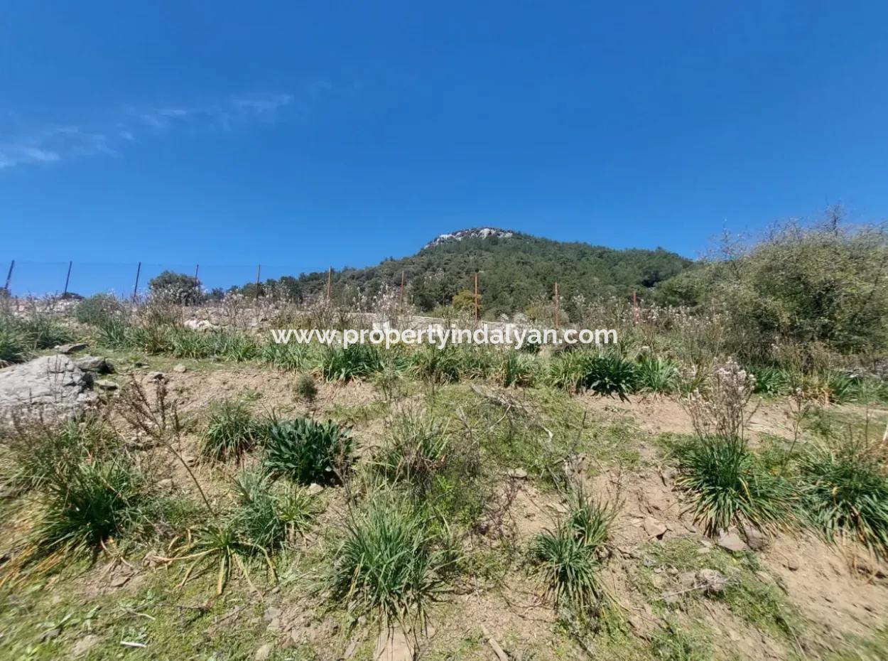 Ortaca Gökbelde 1896 M2 Land For Sale In Nature