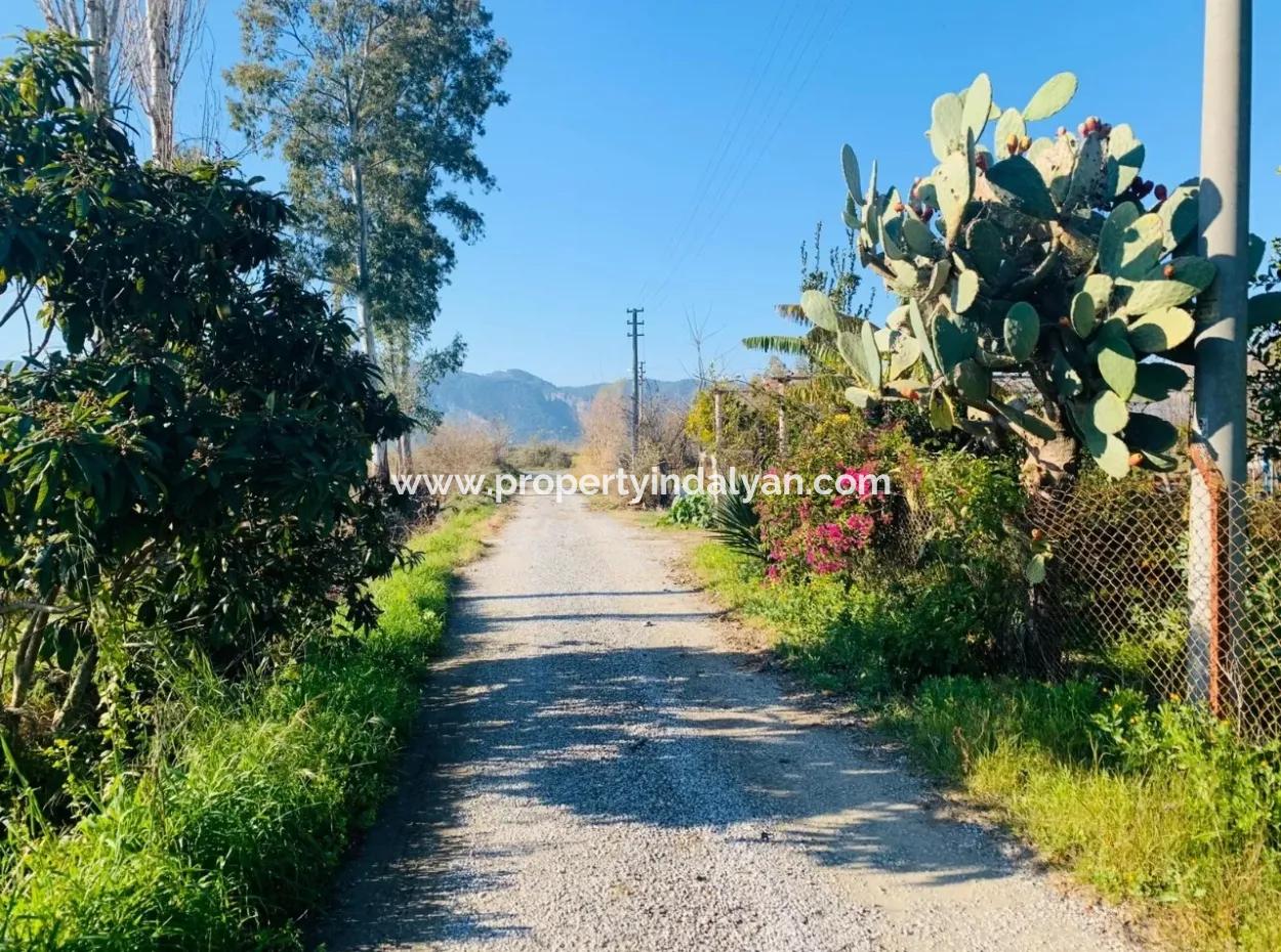 For Sale Plot Of Land Raider Also