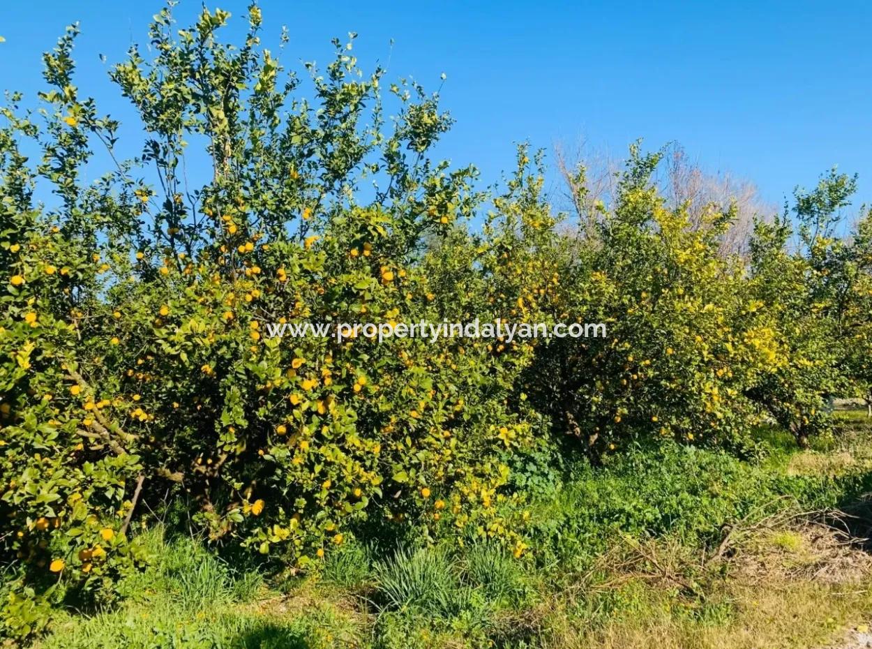 For Sale Plot Of Land Raider Also