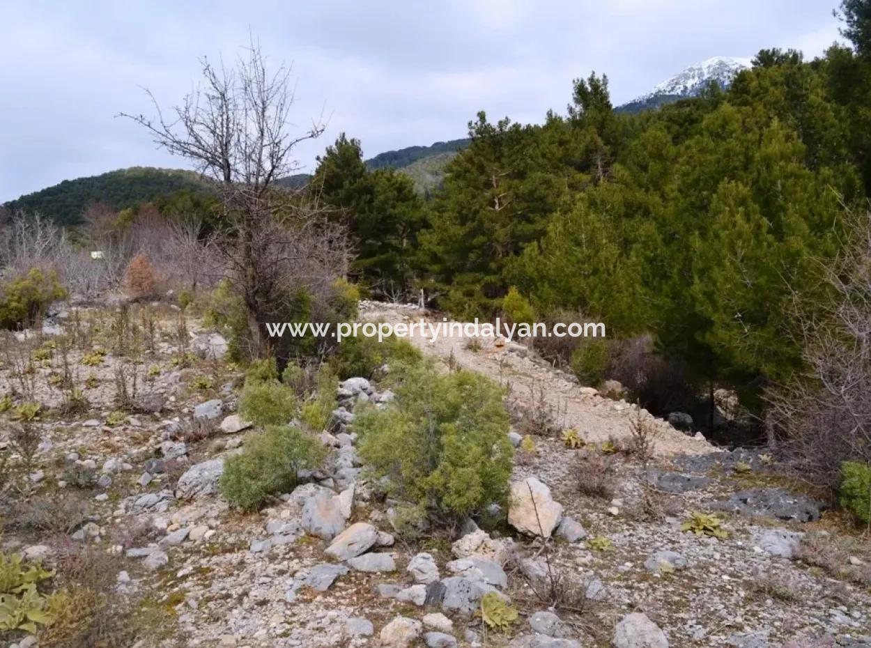 For Sale Bargain Land In Fethiye Ta Sty