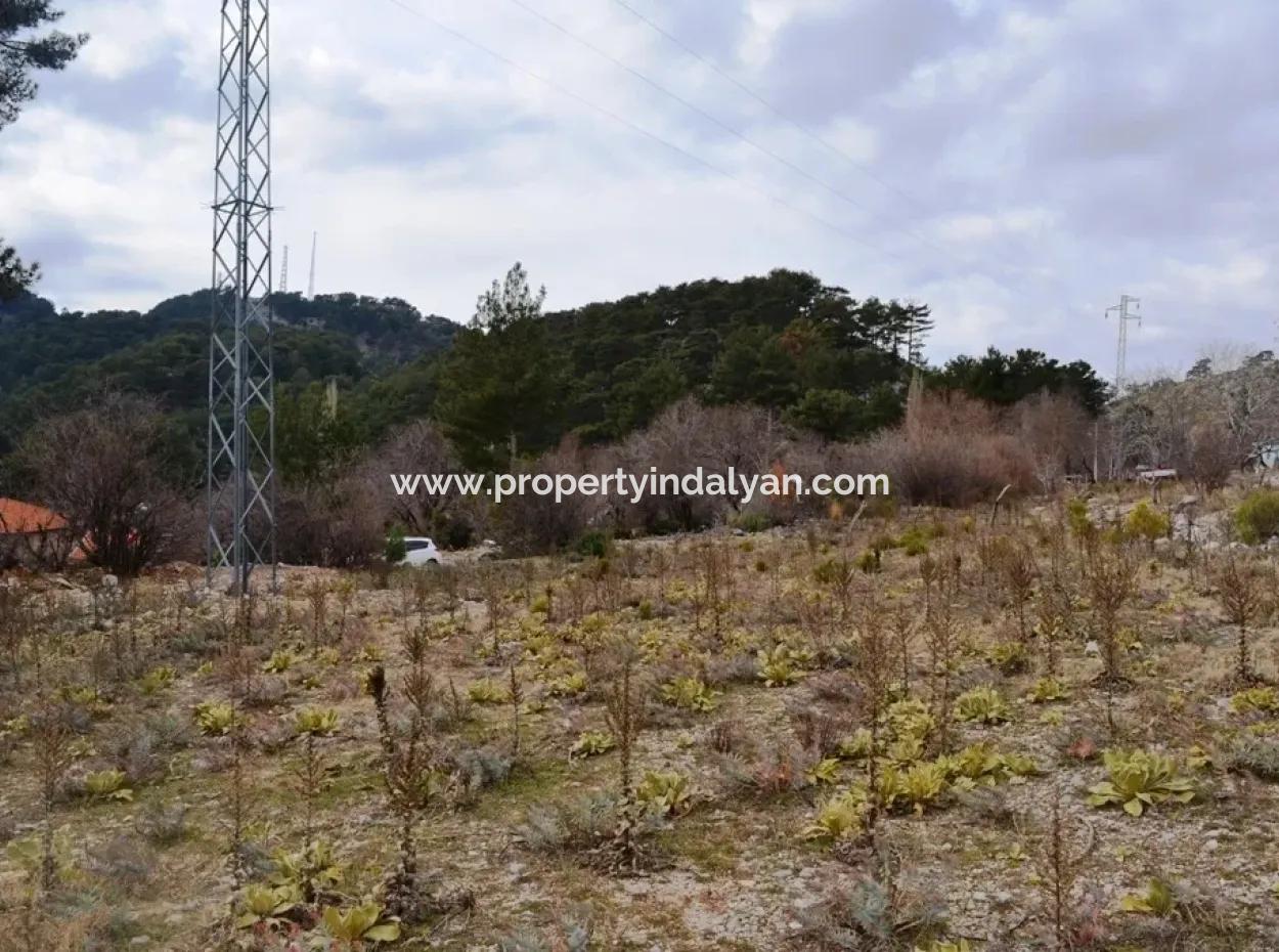 For Sale Bargain Land In Fethiye Ta Sty