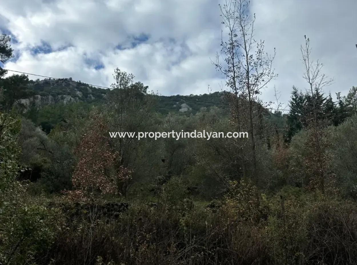 For Sale In Fethiye Gökçeovacıkta 1709 M2
