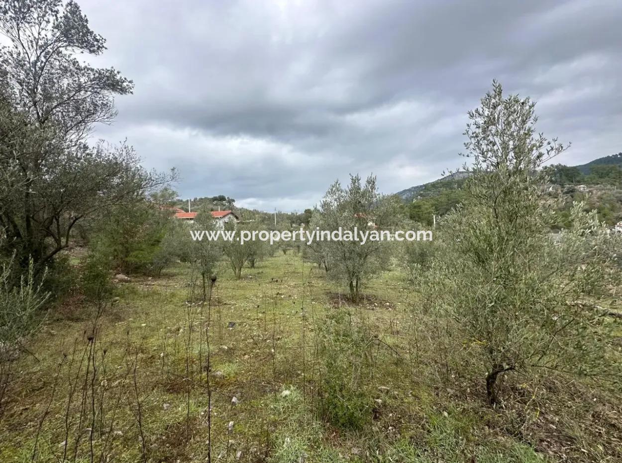 For Sale In Fethiye Gökçeovacıkta 1709 M2
