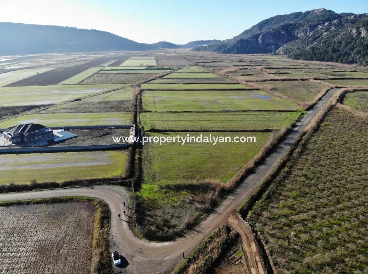 Fields Suitable For Cooperative In Ortaca Güzelyurt Are For Sale
