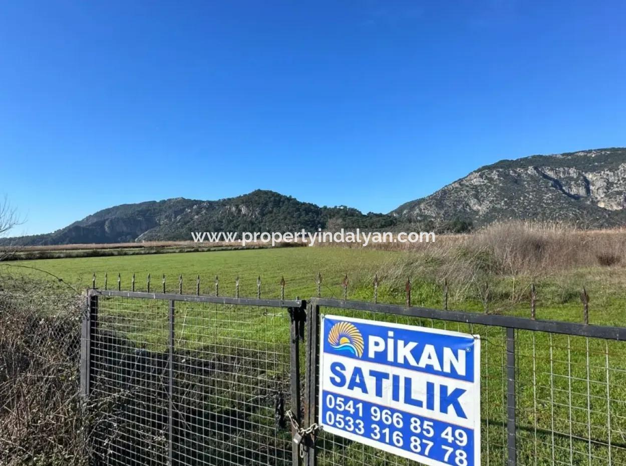 Fields Suitable For Cooperative In Ortaca Güzelyurt Are For Sale