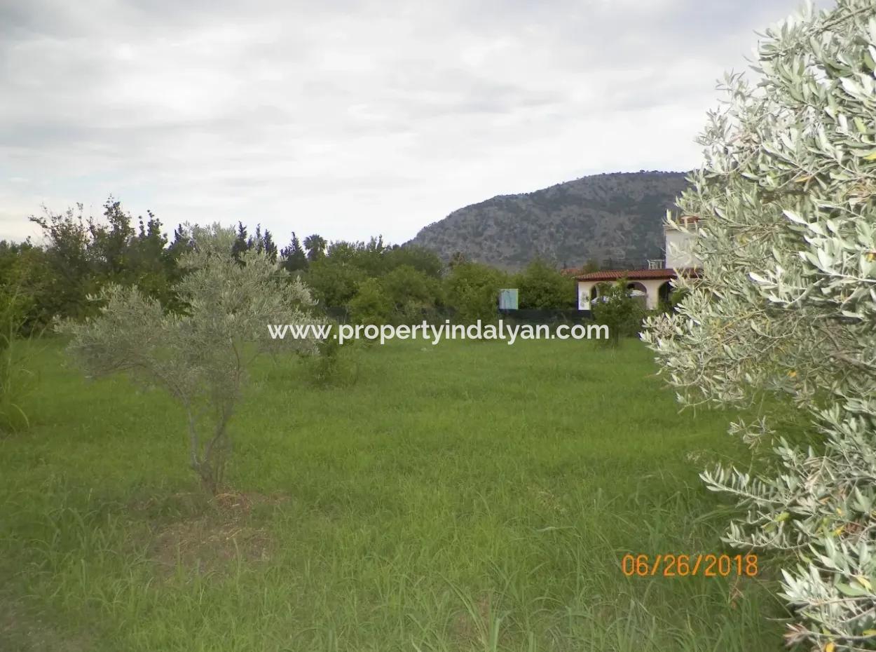Land For Sale In Dalyan, Property For Sale Bargain