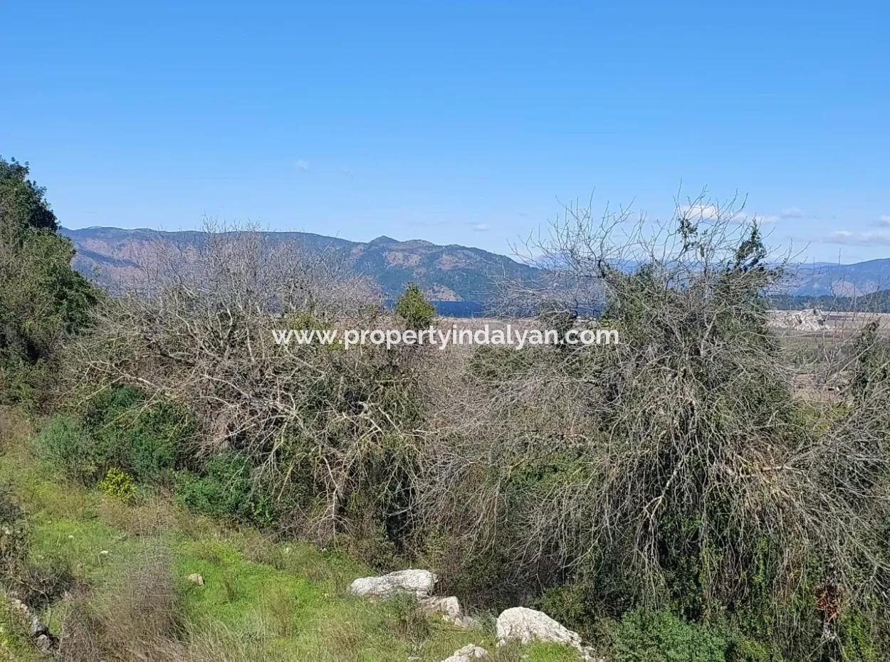 1.000M2 Detached Land With Köyceğiz Lake View For Sale In Dalyan