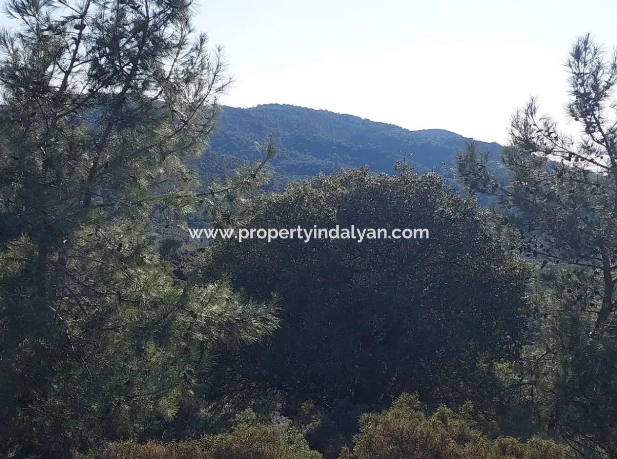 28.350 M2 Land For Sale In Ortaca Gökbelde With Detached Title Deed Sea View