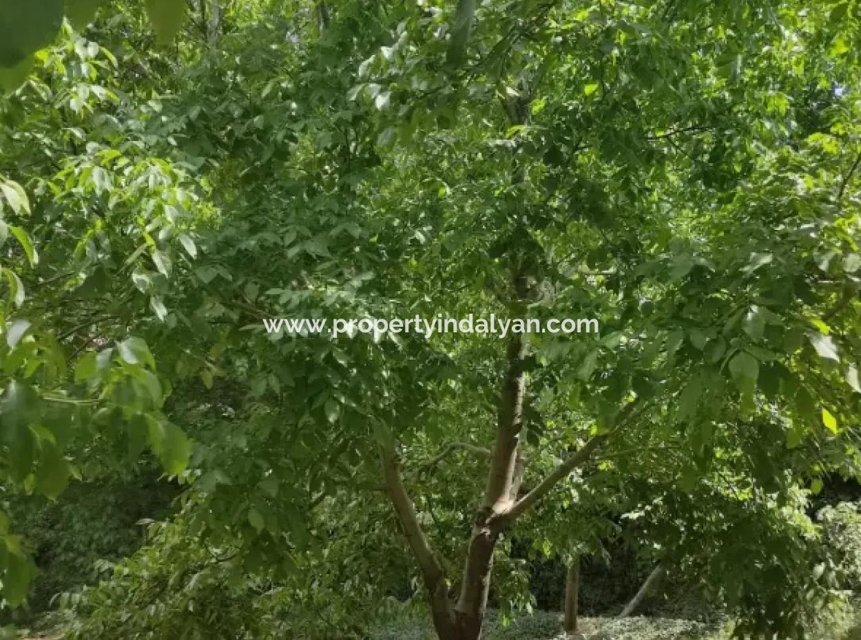 Stone Village House And 1042 M2 Detached Land For Sale On A 504 M2 Plot In Çameli, Cevizli