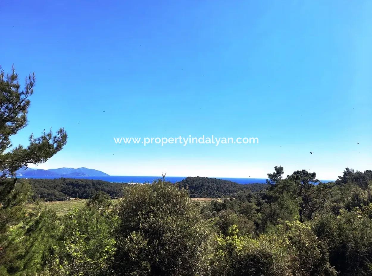 5.000 M2 Residential Zoned Land With Full Sea View In Ortaca Sarigerme For Sale