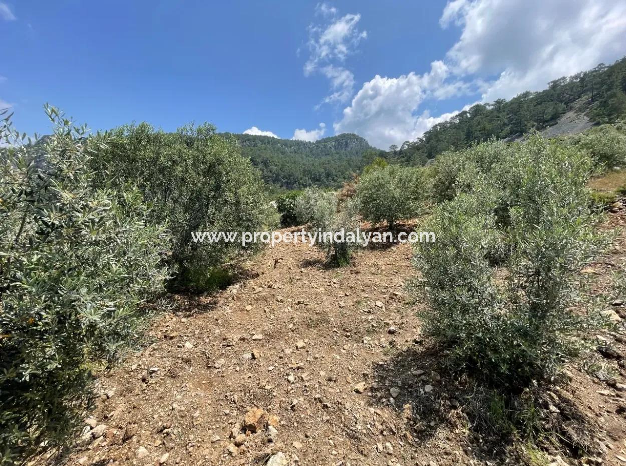 Dalaman, 500M2 On The Side Of Bozbel Dam