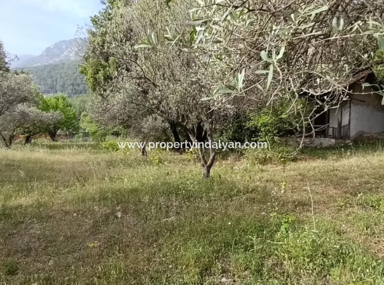1228 M2 Land And Kargir House For Sale In Muğla Menteşe Yaraş, Village In Village.   