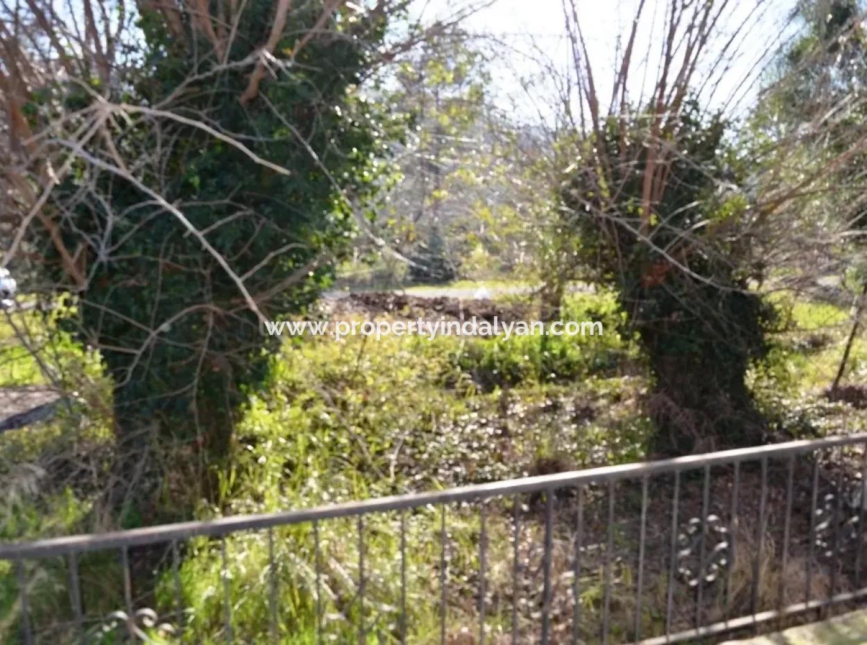 Village House For Sale In Orange Grove And Beyoba