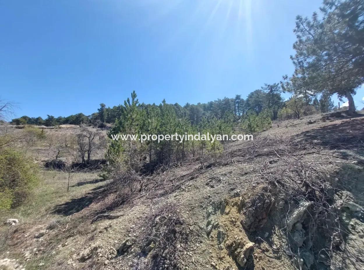 Bargain Land For Sale In Çameli Gökçeyaka 1 844 M2 Detached Land For Sale.