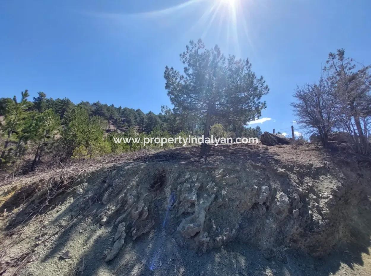 Bargain Land For Sale In Çameli Gökçeyaka 1 844 M2 Detached Land For Sale.