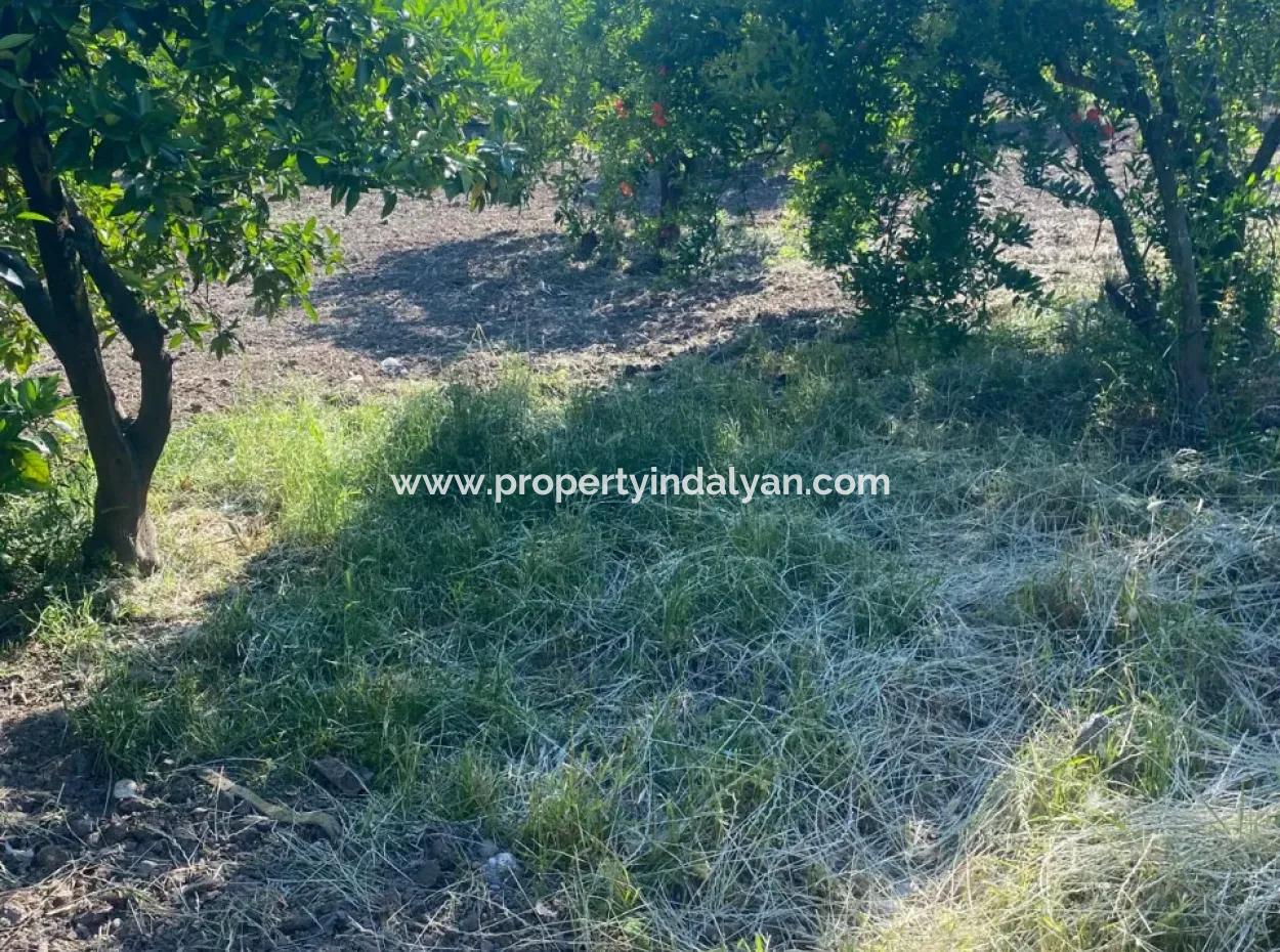 500 M2 Land With Rızai Partition In Ortaca Kemaliye For Emergency Sale