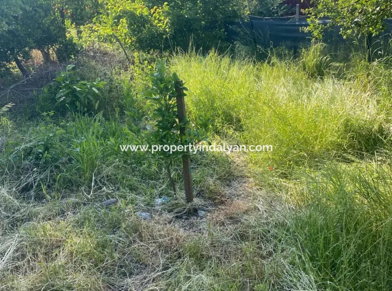 500 M2 Land With Rızai Partition In Ortaca Kemaliye For Emergency Sale