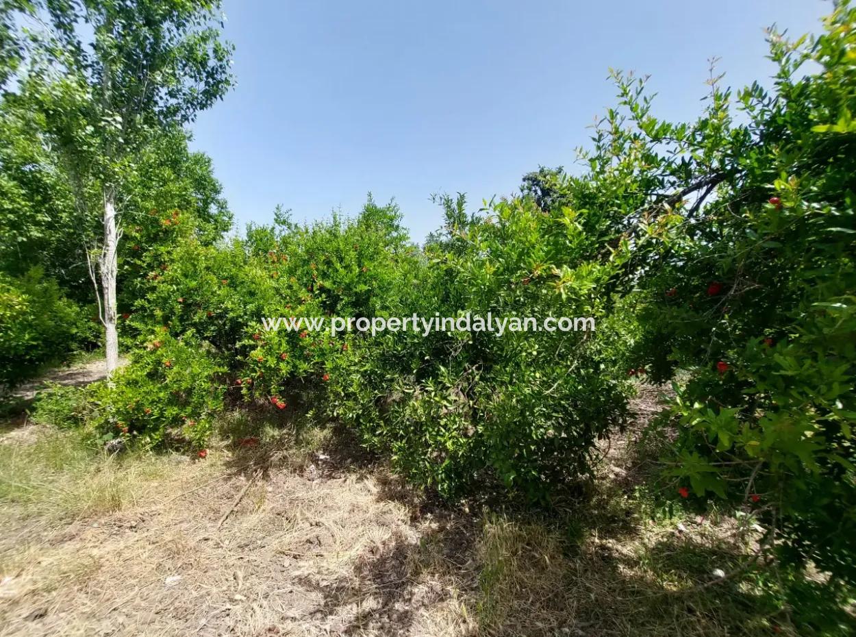 500 M2 Land With Rızai Partition In Ortaca Kemaliye For Emergency Sale