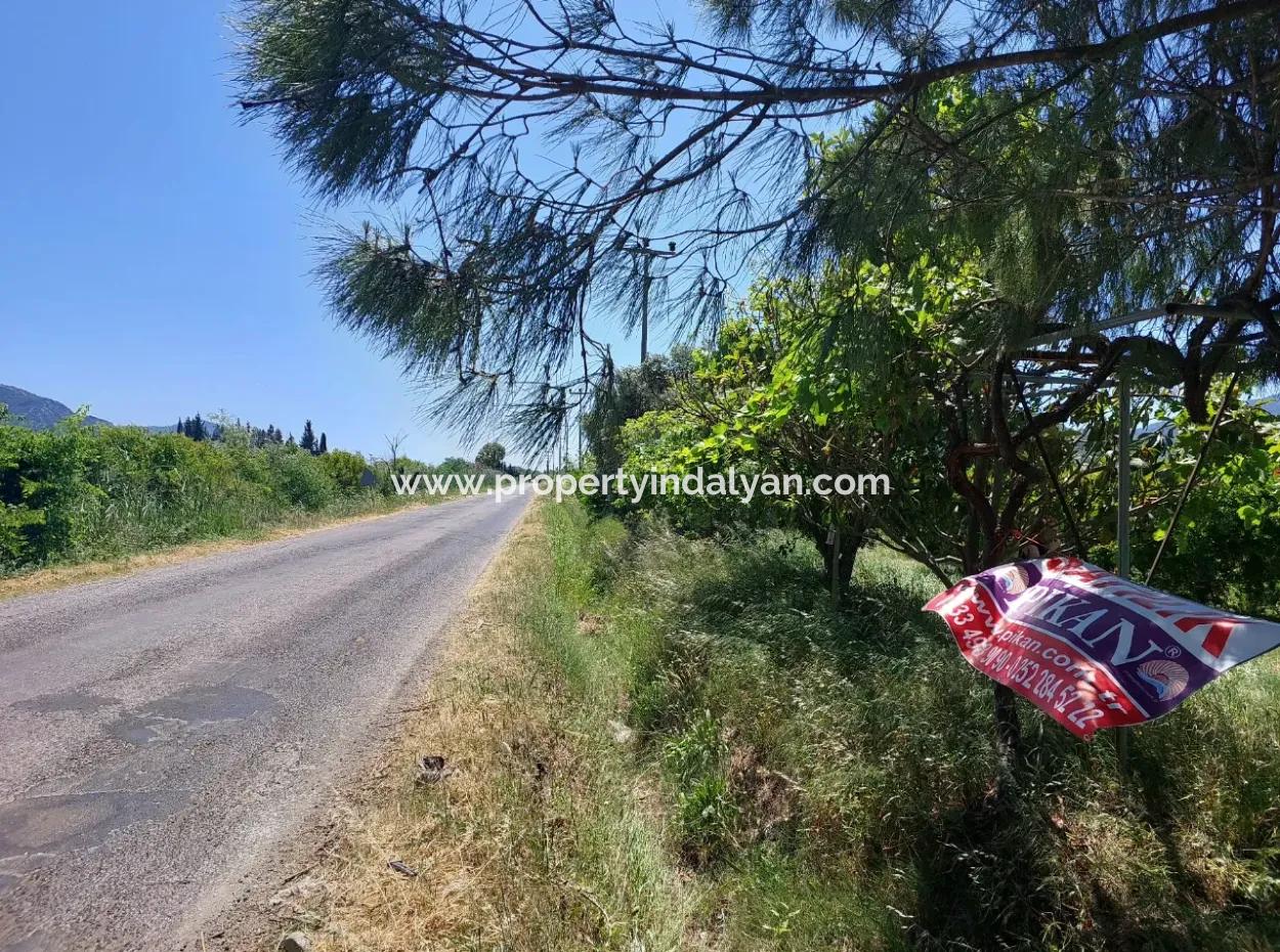 9.000 M2 Pomegranate Garden For Sale In Muğla Ortaca Eskiköy