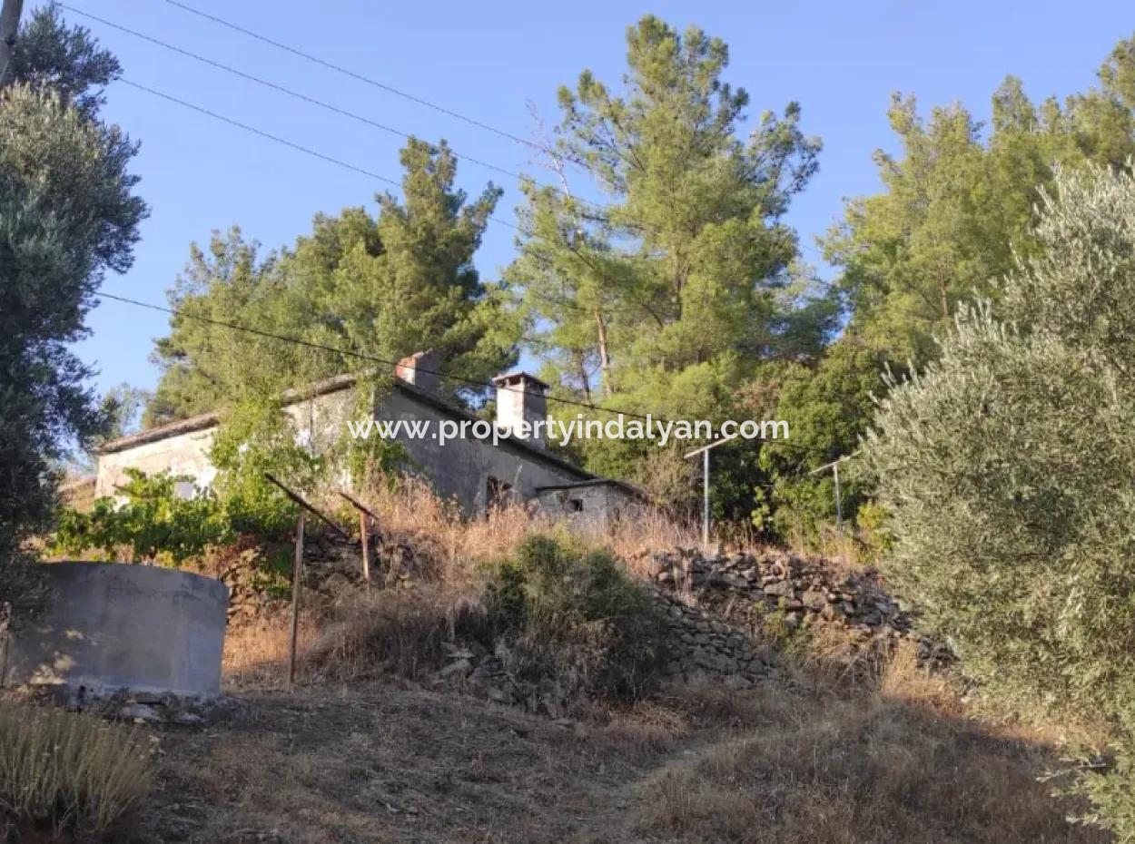Muğla, Dalaman, Elcik 1 100 M2, Detached Land, 60 M2 Village House For Sale
