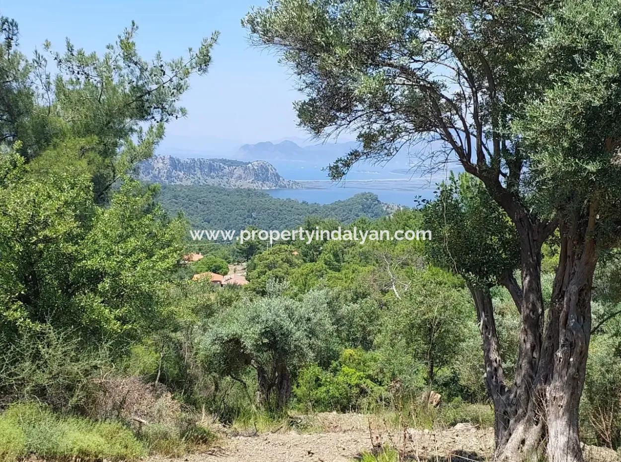 1,000 M² Investment Land With Lake And Sea Views For Sale In Muğla Ortaca Gökbel