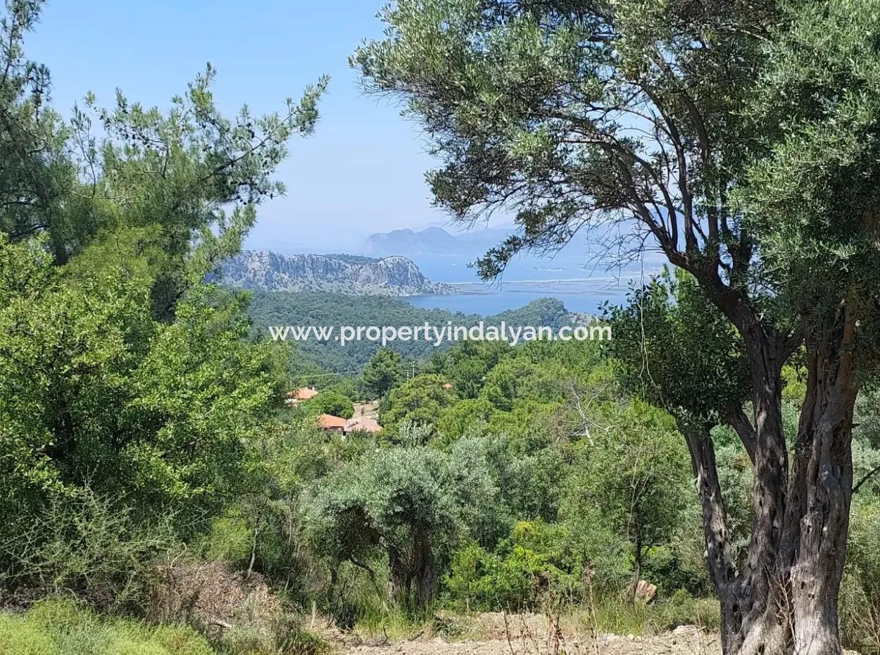 1,000 M² Investment Land With Lake And Sea Views For Sale In Muğla Ortaca Gökbel