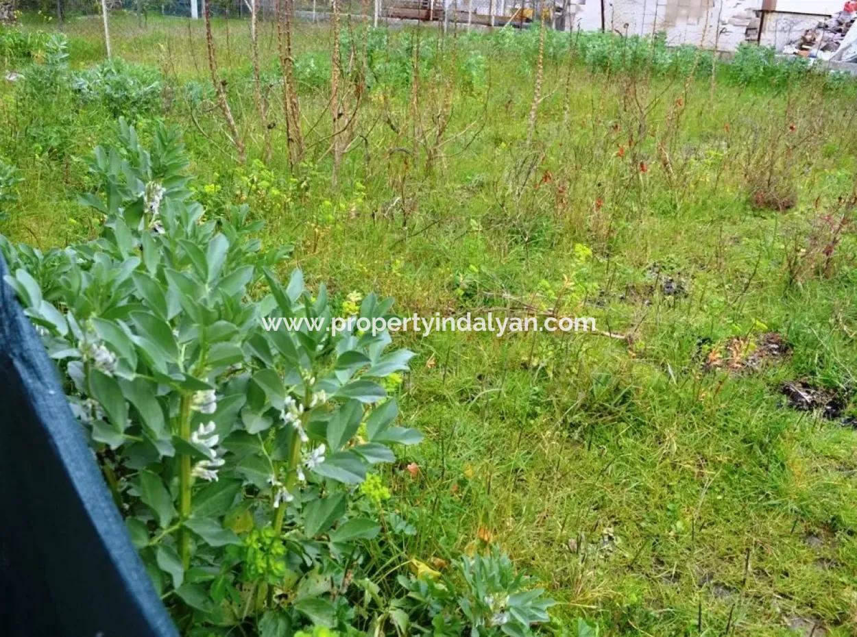 For Sale Detached House Guzelyurt Village Ta