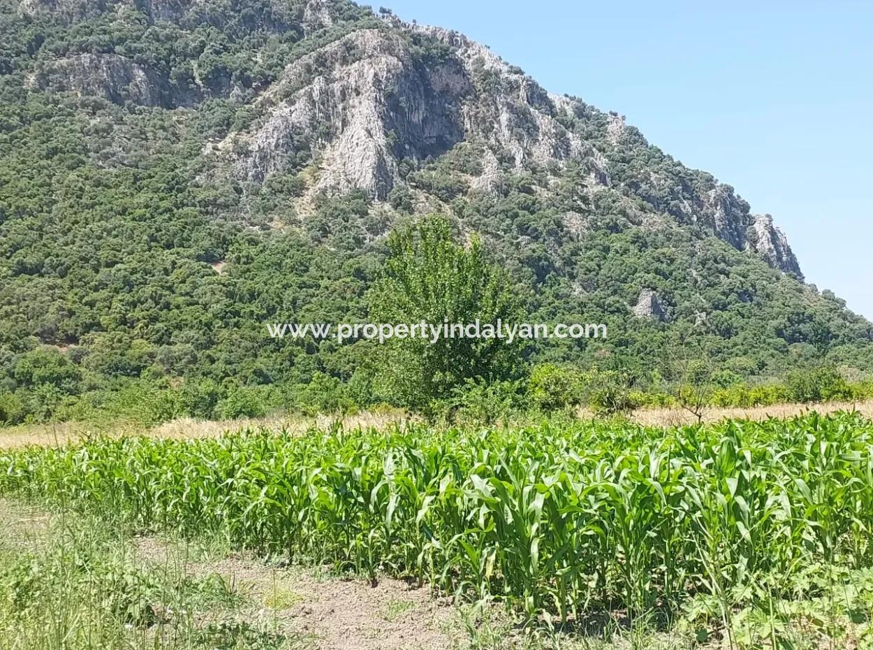 1 900 M2 In Dalyan Okçular Marmarlı, Land In The Zoning Plan Is For Sale