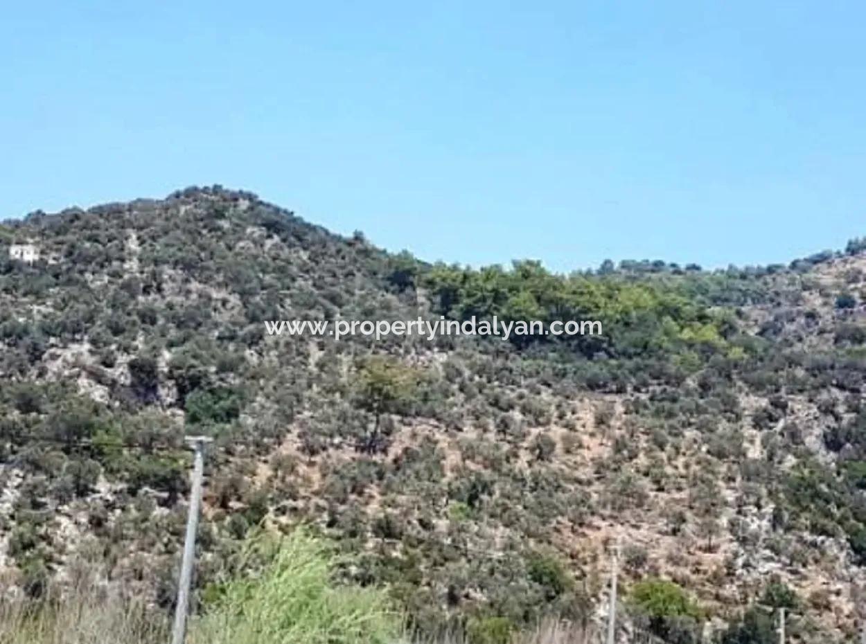 74,000 M2 Sea View Land For Sale In Dalaman Kapıkargın