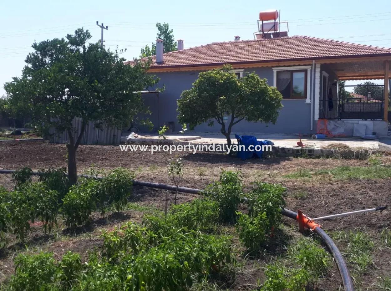 5400 M2 Ready-Made Farm For Sale In Ortaca Arıkbaşı