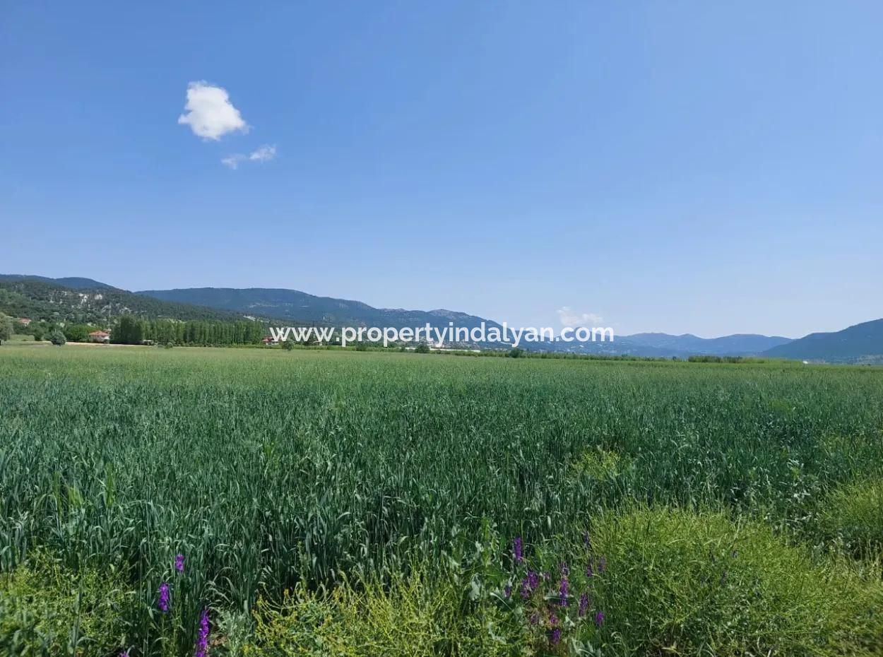 For Sale In Denizli Çameli Kızılyaka 1500 M2 Detached Title Deed Bargain Land