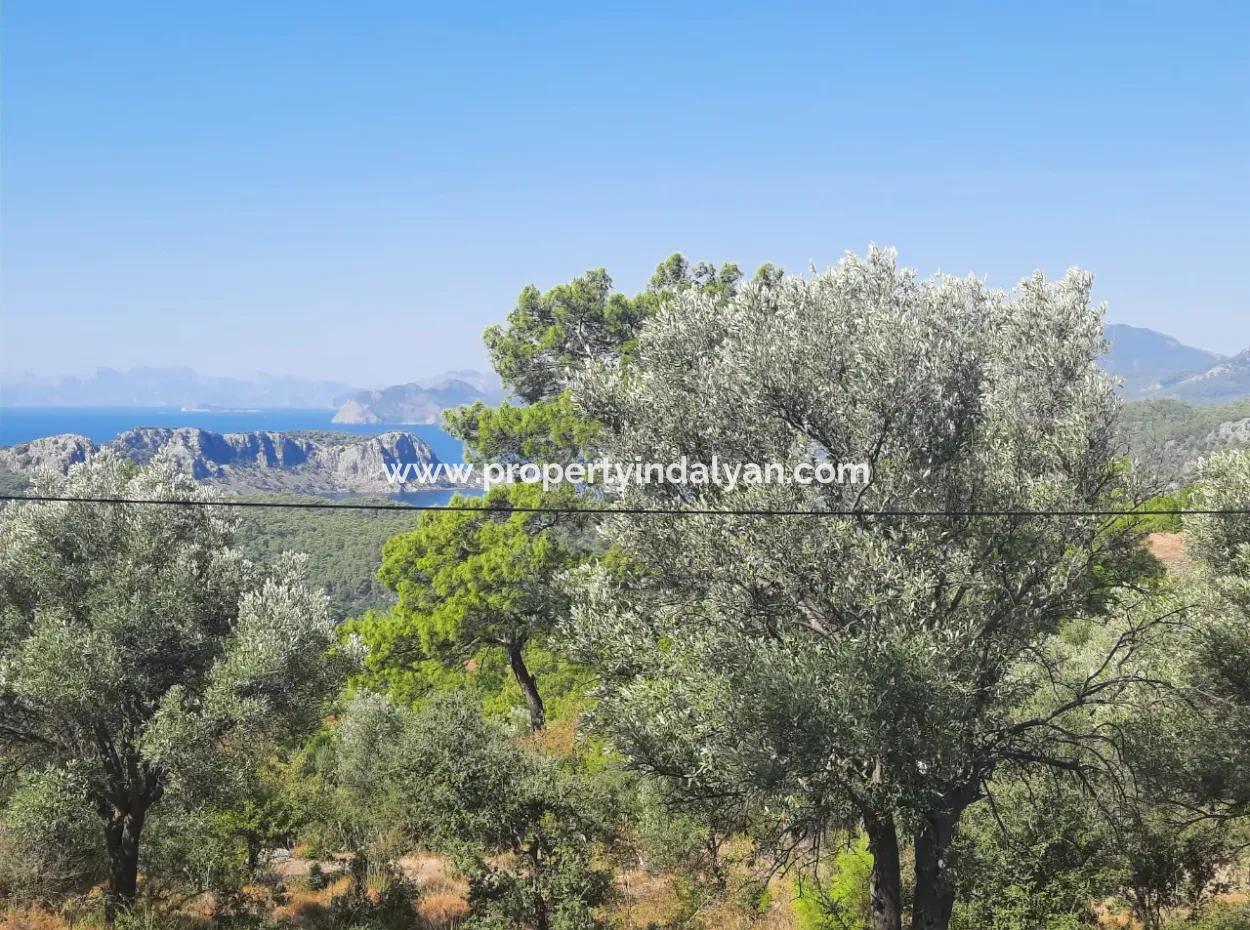Ortaca Gökbelde Lake And Sea View Detached Title Deed For Sale 650M2 Land For Sale