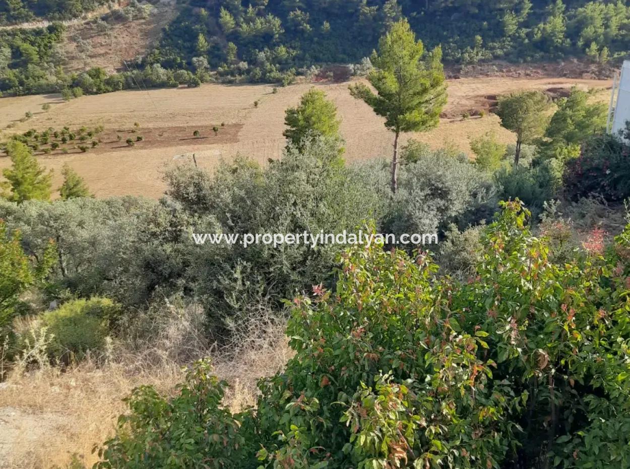 12 300 M2 Land Suitable For Investment For Sale In Antalya Kaş Kalkan Islam