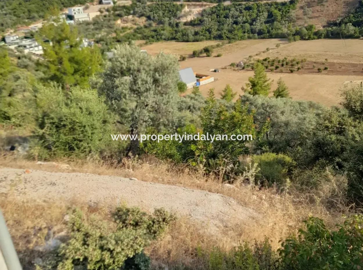 12 300 M2 Land Suitable For Investment For Sale In Antalya Kaş Kalkan Islam