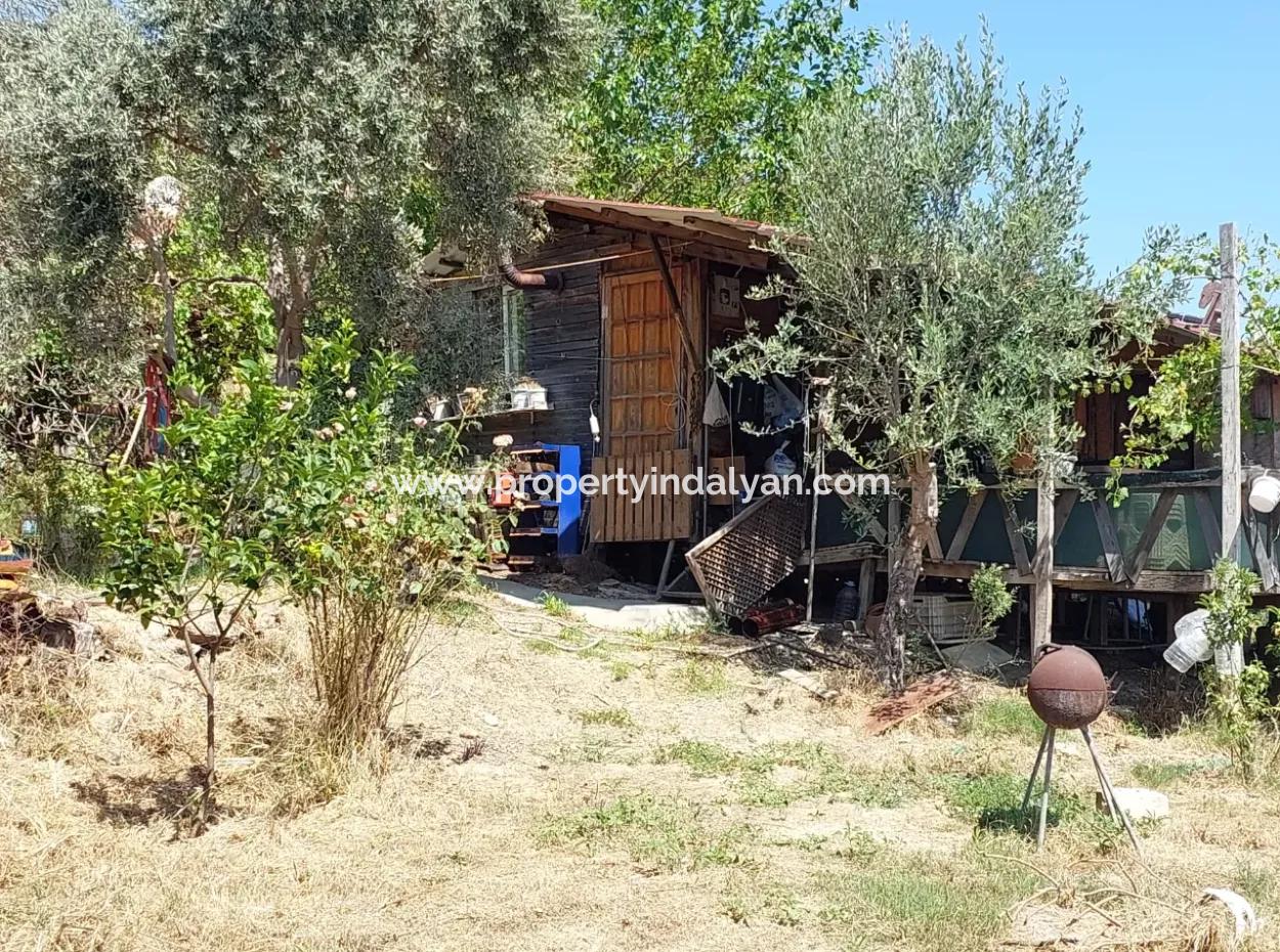 For Sale With A Numbered Building On 2.500M2 Treasury Land In Ortaca Eskiköy