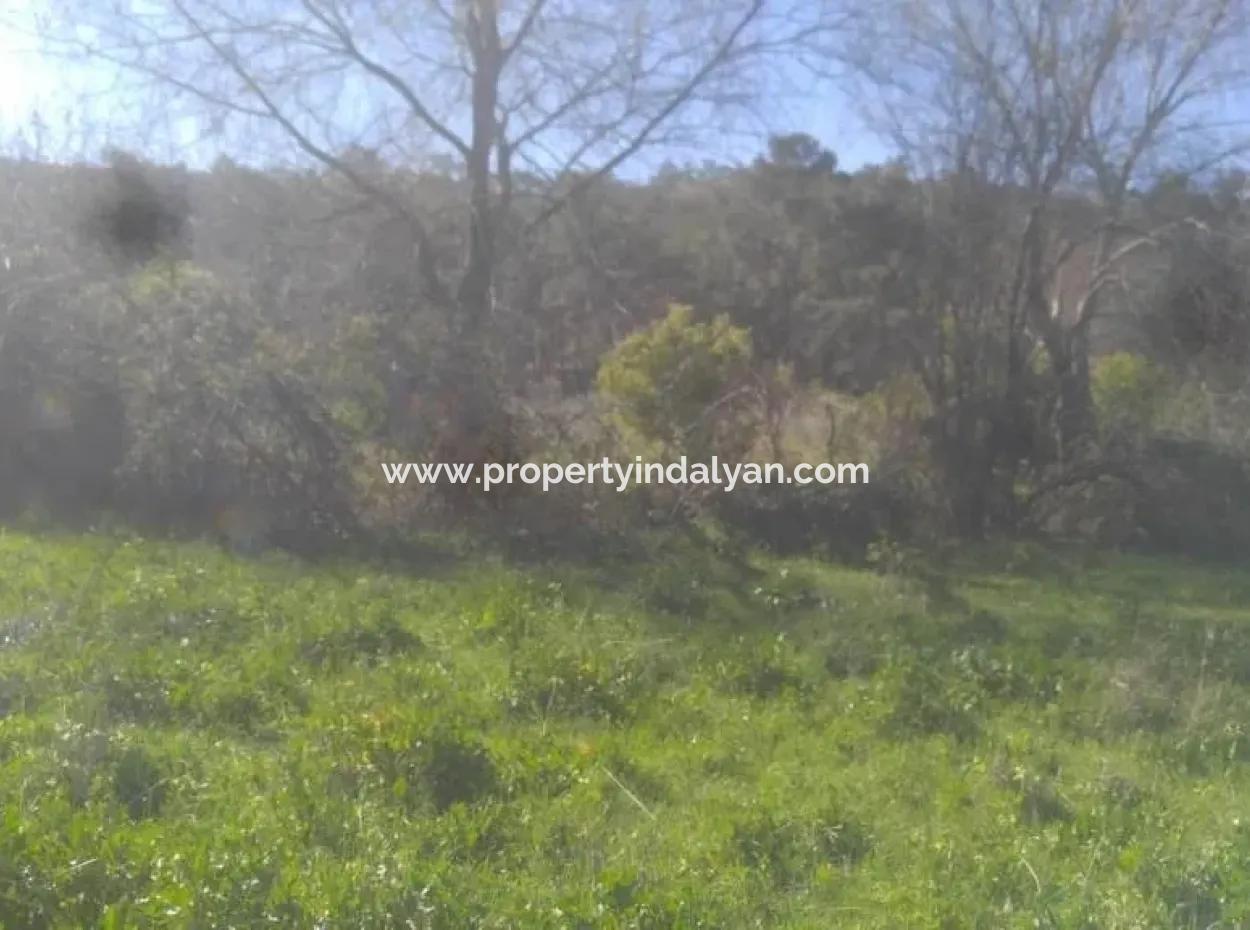 Land For Sale In Bargain Detached Zeytinalani